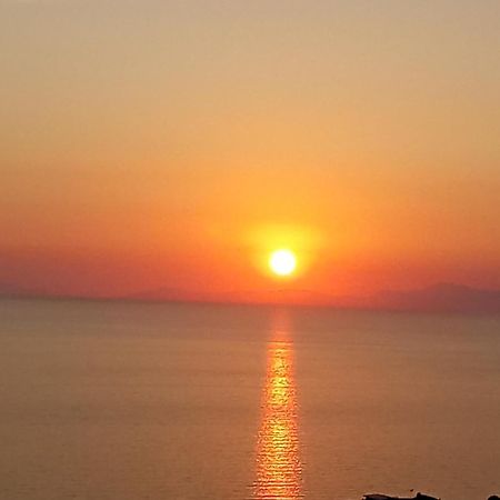 أغروبولي B&B Stella Del Cilento Di Anna Botti المظهر الخارجي الصورة