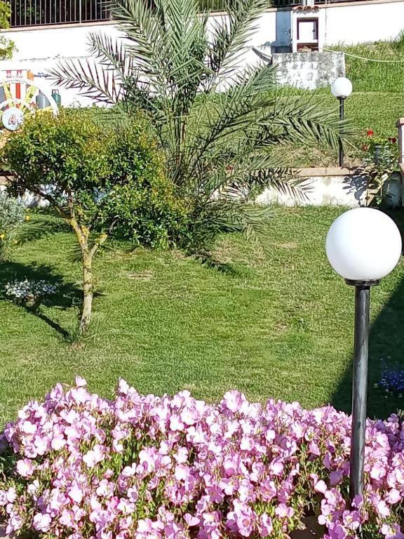 أغروبولي B&B Stella Del Cilento Di Anna Botti المظهر الخارجي الصورة